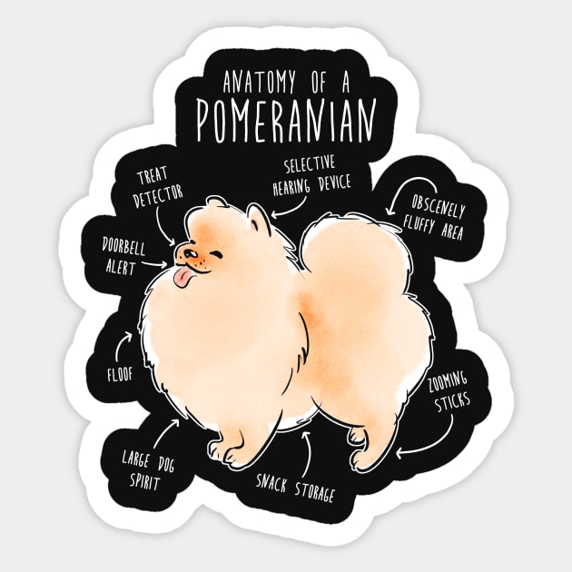 Pomeranian Anatomy Sticker by Psitta